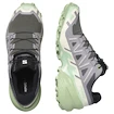 Dámska bežecká obuv Salomon Speedcross 6 Castlerock/Vanilla Ice/Smoke Green