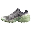 Dámska bežecká obuv Salomon Speedcross 6 Castlerock/Vanilla Ice/Smoke Green