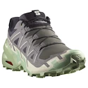 Dámska bežecká obuv Salomon Speedcross 6 Castlerock/Vanilla Ice/Smoke Green