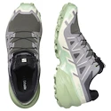 Dámska bežecká obuv Salomon Speedcross 6 Castlerock/Vanilla Ice/Smoke Green