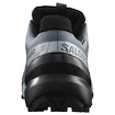 Dámska bežecká obuv Salomon Speedcross 6 Gore-Tex Flint Stone/Black/Heather