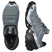 Dámska bežecká obuv Salomon Speedcross 6 Gore-Tex Flint Stone/Black/Heather