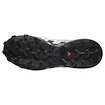 Dámska bežecká obuv Salomon Speedcross 6 Gore-Tex Flint Stone/Black/Heather