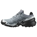 Dámska bežecká obuv Salomon Speedcross 6 Gore-Tex Flint Stone/Black/Heather