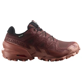 Dámska bežecká obuv Salomon Speedcross 6 Gore-Tex Rum Raisin/Barn Red/Canyon Clay