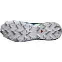 Dámska bežecká obuv Salomon Speedcross 6 Gtx Carbon / Provence / White