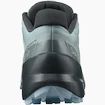Dámska bežecká obuv Salomon Speedcross Speedcross 5 W Slate/Trooper