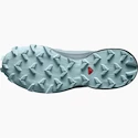 Dámska bežecká obuv Salomon Speedcross Speedcross 5 W Slate/Trooper
