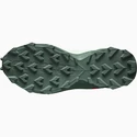 Dámska bežecká obuv Salomon  Supercross 3 W Gr/Wht/Duck Gren
