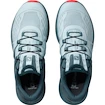 Dámska bežecká obuv Salomon Ultra PRO šedá