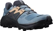 Dámska bežecká obuv Salomon  Wildcross 2 GTX Blue Stone