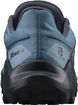 Dámska bežecká obuv Salomon  Wildcross 2 GTX Blue Stone