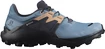 Dámska bežecká obuv Salomon  Wildcross 2 GTX Blue Stone