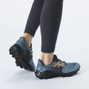 Dámska bežecká obuv Salomon  Wildcross 2 GTX Blue Stone