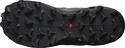 Dámska bežecká obuv Salomon  Wildcross 2 GTX Blue Stone