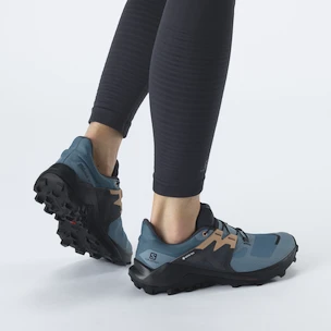 Dámska bežecká obuv Salomon  Wildcross 2 GTX Blue Stone