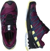 Dámska bežecká obuv Salomon XA Pro 3D V8 GTX W Plum Caspia