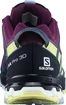 Dámska bežecká obuv Salomon XA Pro 3D V8 GTX W Plum Caspia