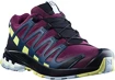 Dámska bežecká obuv Salomon XA Pro 3D V8 GTX W Plum Caspia