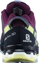 Dámska bežecká obuv Salomon XA Pro 3D V8 GTX W Plum Caspia