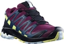 Dámska bežecká obuv Salomon XA Pro 3D V8 GTX W Plum Caspia