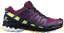 Dámska bežecká obuv Salomon XA Pro 3D V8 GTX W Plum Caspia