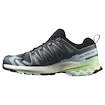 Dámska bežecká obuv Salomon Xa Pro 3D V9 Turbulence/Iced Aqua/Patina Green