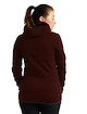 Dámska mikina Icebreaker  W Elemental LS Zip Hood ESPRESSO