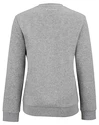 Dámska mikina Tecnifibre  Club Sweater Silver