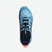 Dámska obuv adidas  Terrex Skychaser 2 GTX W Blue