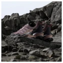 Dámska outdoorová obuv adidas Terrex AX4 Gtx Burgundy/Preloved Fig/Warm Clay