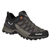 Dámska outdoorová obuv Salewa  WS MTN Trainer Lite GTX Wallnut/Fluo Coral
