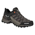 Dámska outdoorová obuv Salewa  WS MTN Trainer Lite GTX Wallnut/Fluo Coral