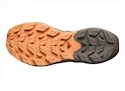 Dámska outdoorová obuv Salomon  ELIXIR ACTIV W White Pepper/Falcon/Papaya