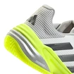 Dámska tenisová obuv adidas Barricade 13 W Clay White