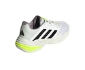 Dámska tenisová obuv adidas Barricade 13 W FTWWHT/CBLACK/CRYJAD
