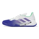 Dámska tenisová obuv adidas  Barricade W Clay Blue/Violet