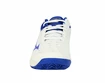 Dámska tenisová obuv Mizuno  Wave Exceed Tour 4 CC White/Blue