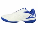 Dámska tenisová obuv Mizuno  Wave Exceed Tour 4 CC White/Blue