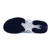 Dámska tenisová obuv Mizuno Wave Exceed Tour 6 CC W BelAirBlue