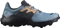 Dámske bežecké topánky Salomon Wildcross 2 GTX Blue Stone