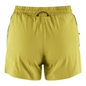 Dámske kraťasy Klättermusen  Laufey Shorts Meadow Green