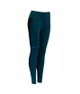 Dámske legíny Devold  Running Tights Flood