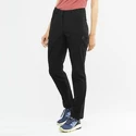 Dámske nohavice Salomon  Wayfarer Pants Black