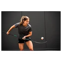 Dámske šortky Bauer  WMNS Team Train Short Black