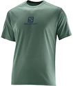Dámske tričko Salomon Stroll Logo Artist Grey