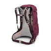 Dámsky batoh OSPREY SIRRUS 34 elderberry purple/chiru tan
