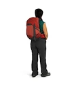 Dámsky batoh OSPREY Tempest  22 deep fig/hotspot pink