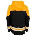 Detská hokejová mikina s kapucňou adidas Asset Pullover Hood NHL Boston Bruins
