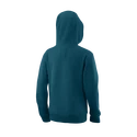 Detská mikina Wilson  Script Cotton Hoody Y Blue Coral